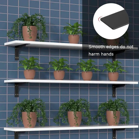 Heavy-Duty Wall Mount Shelf Brackets Rock Solid L Braces Built Tough For Max Weight Up To 150 Pounds Matte Black Steel Corner Supports 16 And 18 Inches with plants on shelves.