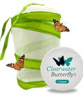 Live Painted Lady Caterpillars To Butterflies Kit With Five Caterpillars And Mesh Cage Watch Metamorphosis In Real Time Family Science Fun For Kids And Curious Minds, green mesh cage with 5 count