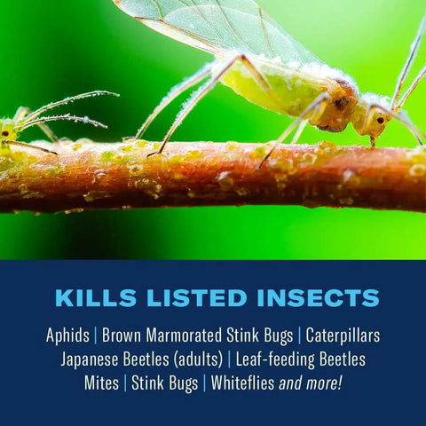 Close-up of insects on plant highlighting Ready To Spray Outdoor Insect Killer That Kills Ticks, Mosquitoes, Fleas And Other Listed Pests On Contact