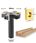 Heavy Hitter Two Flute Router Bit For Wood Planing And Spoilboard Surfacing Featuring Premium Carbide Insert With ATS Coating 45mm cutter with 12mm shank.