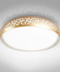 20 Inch LED Flush Mount Ceiling Light Fixture In Modern Gold Finish Slick Close To Ceiling Low Profile Dimmable 42W 2381 Lumens