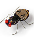 Jitterbug DIY Soldering Kit For Beginners Interactive Hands On Electronics Projects For Students And STEM Classes Includes Vibration Motor Circuits With Battery Bulk Educator Pack For Classroom Soldering Practice And Fun, close-up of assembled bug circuit with LEDs
