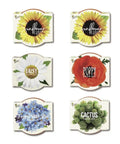 Daydream Collection Mini Terracotta Grow Pots Six Pack Seed Starter Kit With Assorted Flower Seeds And Growing Pellets
