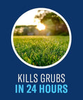 24 Hour Grub Killer Plus Granules For Lawns Kills Grubs Ticks Listed Pests Fast Covers 5,000 Sq Ft 10 Lb Bag Easy To Apply