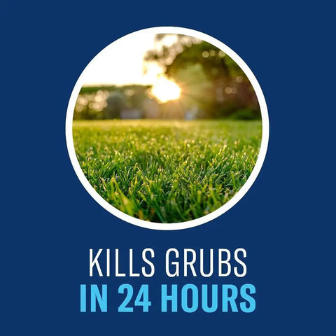 24 Hour Grub Killer Plus Granules For Lawns Kills Grubs Ticks Listed Pests Fast Covers 5,000 Sq Ft 10 Lb Bag Easy To Apply