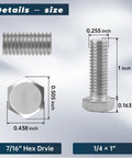 Front view of 10-set stainless steel hex bolts with nuts and washers; 1/4-20 x 1, full thread