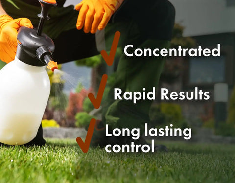 Person using Grub Control 32oz Concentrated Imidacloprid Insecticide sprayer on lawn with benefits listed in background.