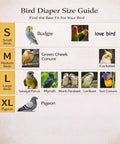 Bird diaper size guide showing XL pigeon for Indoor Pigeon Harness Kit With Reusable Diaper Pants And Flight Training Leash