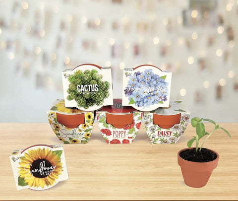 Daydream Collection Mini Terracotta Grow Pots Six Pack Seed Starter Kit with assorted flower seeds and growing pellets