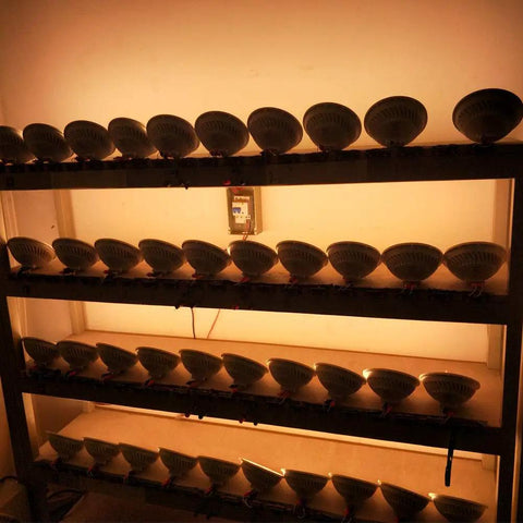 PAR56 LED Bulb Dimmable Replaces 300W Halogen, 28W Low Power 120V AC Warm White bulbs on display rack, GX16D Base