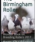 Cover of Birmingham Roller Breeding Guide Pro Tips And Techniques For Raising High Quality Rollers with pigeons on a roof