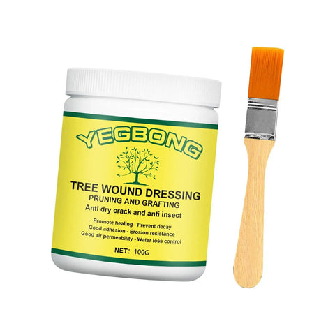 Pro Grade Bonsai Cut Paste Pruning Sealant With Brush For Tree Wound Repair And Grafting, Portable Wound Filler For Shrubs And Fruit Trees, Rain Resistant And Easy To Apply. 100g jar and brush