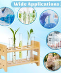 12 Hole Test Tube Rack Made From Bamboo Wood Lab Stand For Chemistry Classrooms And Experiments, Features Interchangeable 26mm 27mm And 28mm Trays; rack with test tubes and plants