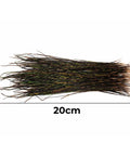 Natural Peacock Herl Feather For Fly Tying, 340 Strands, 10-20cm Length, Realistic Nymphs Wet Flies And Streamers Materials