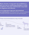 Infographic detailing pet ear issues solutions, focusing on Fragrance Free Antibacterial Antifungal Flush For Dogs Cats And Horses Ear And Skin
