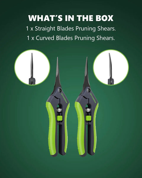 Two Pack 6.5 Inch Pruning Shears For Gardening Ultra Sharp Garden Scissors With Spring Loaded Mechanism Stainless Steel Bonsai Clippers Straight And Curved Blades For Precise Cuts