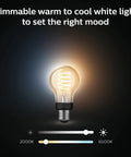Smart Filament LED Bulbs 40W Equivalent A19 White Ambiance Warm To Cool Light 2 Pack E26 Indoor Lighting With App Control