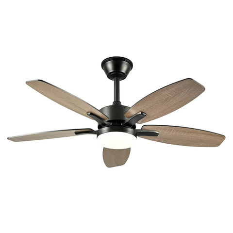 Neojoyoenix 42" 5PCS Plywood Blades Ceiling Fan with Lights Remote Control,Quiet DC Motor s 6 Speed Levels,Reversible,for Patio Living Room, Bedroom, Office,Indoor.(Matte Black) - view of ceiling fan from below.