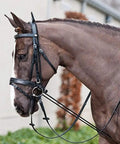 Horse wearing Elastic Horse Neck Stretcher Rope, Adjustable Poll Strap Training Aid, side reins alternative, for lunging sessions