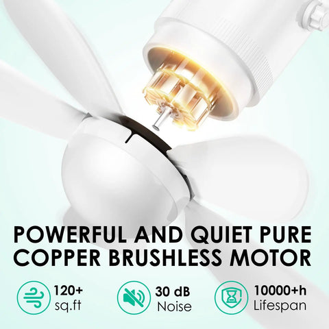 Close-up of Outdoor Solar Ceiling Fan With Light 21 Inch showing copper brushless motor for Camping RVs.
