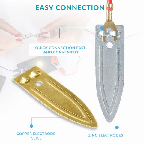 Copper and zinc electrode slices from Fruit Battery Science Kit With Instruction Guide For Hands On STEM Learning Potato Science Project.