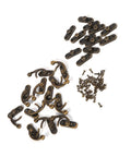 Antique Latch Hook Metal Hasp for jewelry boxes and gift boxes, vintage gold bronze finish, shown with screws, durable hardware
