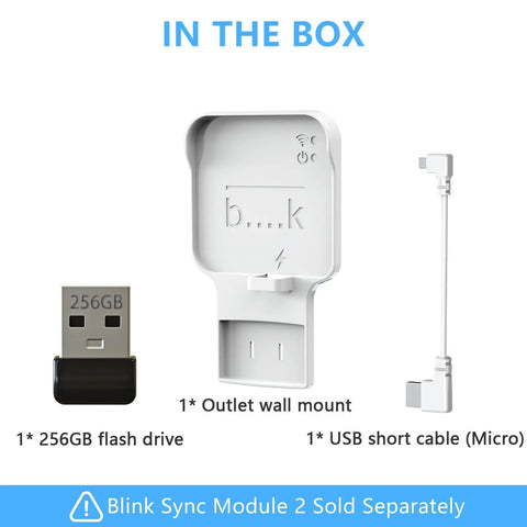 Image showing contents of the box: 256GB USB Flash Drive With Outlet Wall Mount For Sync Module 2, including wall mount, USB flash drive, and cable.