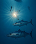 Throw Flashers For Spearfishing Pelagic Targets Like Wahoo And Kingfish Plus Reef Fish Tuna And Mackerel Easy Attach Durable Gear