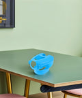 Pro Grade Pigeon Injection Holder For Easy Medicine Feeding on a table, blue plastic bird holder, hollow out design shown