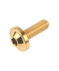 Beefy Titanium M5x15mm Torx Head Bolt Set Gold for Bicycle and Motorcycle Grade 5 6AL 4V Titanium Alloy