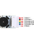 6V 1000RPM DC Gear Motor with Encoder Speed Velocity Measurement for Mini Car showing wiring terminals and encoder disc