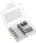 Six By Thirty Millimeter 6x30mm Fast Blow Glass Fuses 15 Amp 250 Volt F15AL250V pack of 18 in plastic storage case