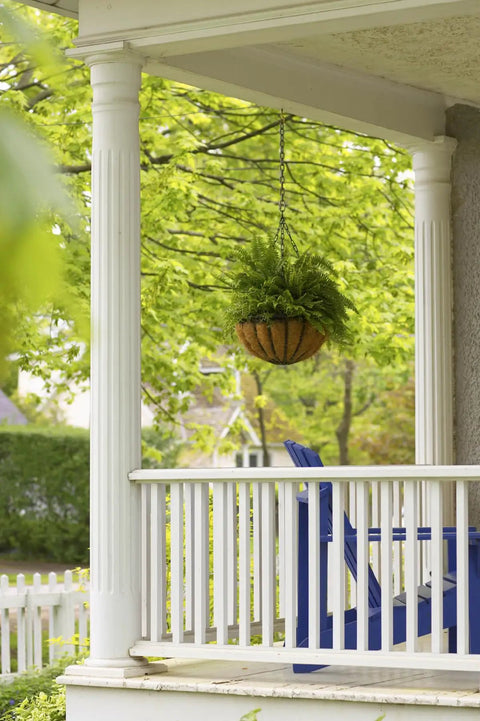 Size 2/0 Diameter 100-Foot Zinc Plated Tie Out Chain for Hanging Garden Baskets on a porch with greenery