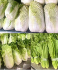 Semi Automatic Vegetable Strapping Machine For PE PVC Film Bundling Steel Build Adjustable Workbench Tightness Control Supermarket Market Fresh Produce Binding Solution displaying wrapped lettuce in a supermarket