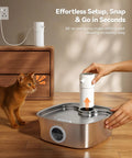 Cordless Wide Tray Dog Water Fountain With 5000mAh Battery Powered Pet Water Dispenser Three Motion Sensors Stainless Steel 8L Capacity being set up.