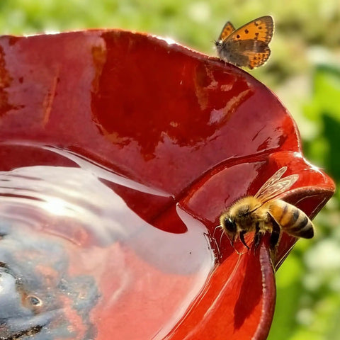 Handmade Metal Flower Garden Stake With Bird Bath And Bee Watering Station Totally Pollinator Friendly Yard Decor With Colorful Butterfly Bee Bath Bowl For Outdoor Gardens And Patios with bee and butterfly