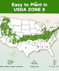 Map showing regions compatible with Year Round Heirloom Seed Kit With 32 Varieties And 30,000 Plus Non GMO Seeds USDA Zone 6