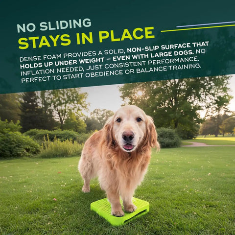 Golden retriever on Inflation Free Balance Ramp For Dogs Easy Beginner Obedience And Balance Training Non Slippery Surface Ideal