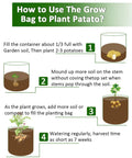 Illustration showing steps to plant potatoes in grow bags with soil, sprouting potatoes, soil mounding, plant growth, and watering.