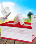 Breathable Pigeon Carrier Cage For Travel And Training with two side doors shown open, pigeon flying nearby.