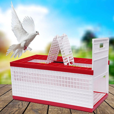Breathable Pigeon Carrier Cage For Travel And Training with two side doors shown open, pigeon flying nearby.