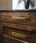 Antique Brass Cabinet Pulls With Backplate Zinc Alloy Retro Style Hardware With Classic Ornate Look And Comfortable Grip, installed on wooden dresser, close-up view.