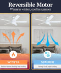 Ashby Modern 52 Inch Ceiling Fan with Light and Remote LED showing reversible motor function for winter and summer.
