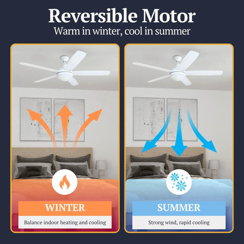 Ashby Modern 52 Inch Ceiling Fan with Light and Remote LED showing reversible motor function for winter and summer.
