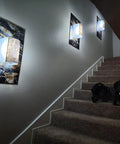 Staircase with wall lights and dog, showcasing Black Marble Peel And Stick Contact Paper 16 Inch By 118 Inch Self Adhesive Wallpaper.