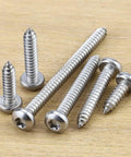 Pro Shop Grade Pan Head Self Tapping Screws With Sharp Torx Drive Points And Full Thread Runouts forged from stainless steel on wood.