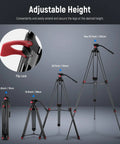 Beefy Heavy Duty Aluminum Video Tripod With 360 Degree Fluid Drag Head shown at various extended heights up to 200 cm