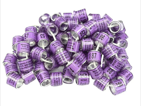 Pile of purple Personalized Pigeon Racing Bands Set, 100 Pcs 8mm Colorful Leg Rings With Loft Name, Year And Unique Number