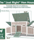Diagram of Ultimate 62 Inch Chicken Coop For 2 To 4 Chickens With Four Nesting Boxes Roosting Bars Openable Waterproof Roof