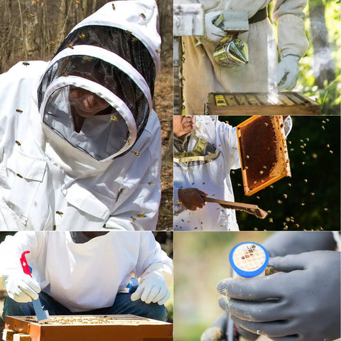 Beekeeper using All-In-One Beekeeping Starter Kit With 30 Must-Have Tools For Hive Checks and Honey Harvesting in protective wear.